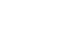 Victor Besson — logo
